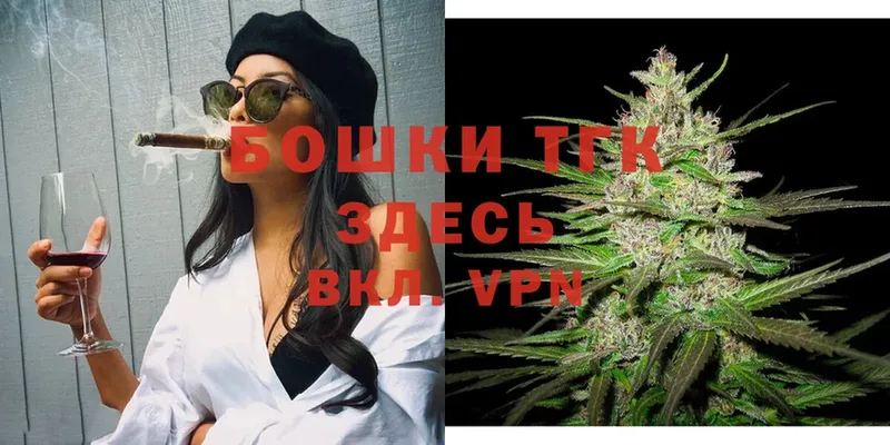 Марихуана THC 21%  купить наркоту  Северодвинск 